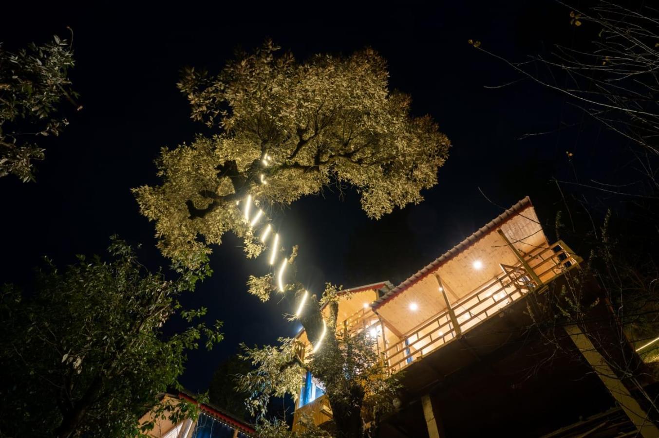 הוילה Into The Woods Treehouse Jibhi מראה חיצוני תמונה